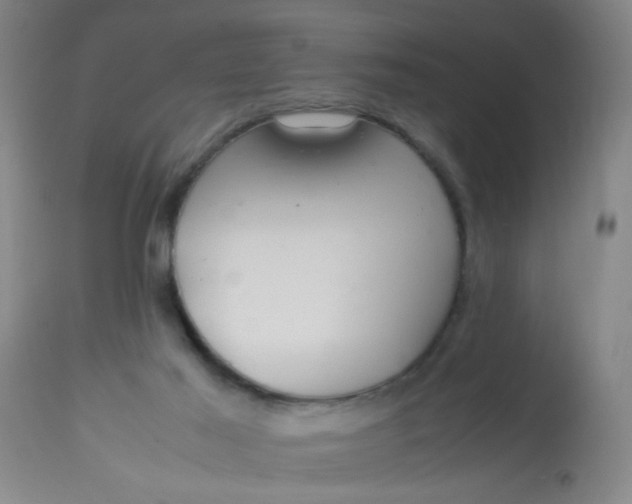 X0000113620021200910091542