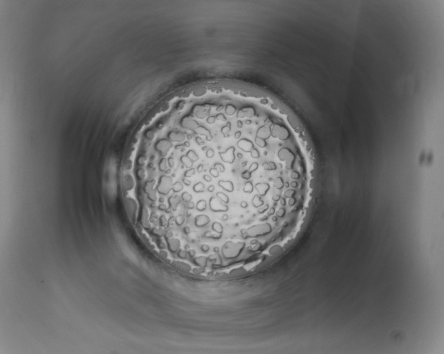 X0000113620022200910091542