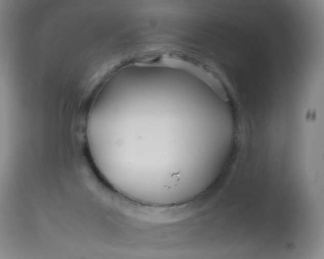 X0000113620023200910091542