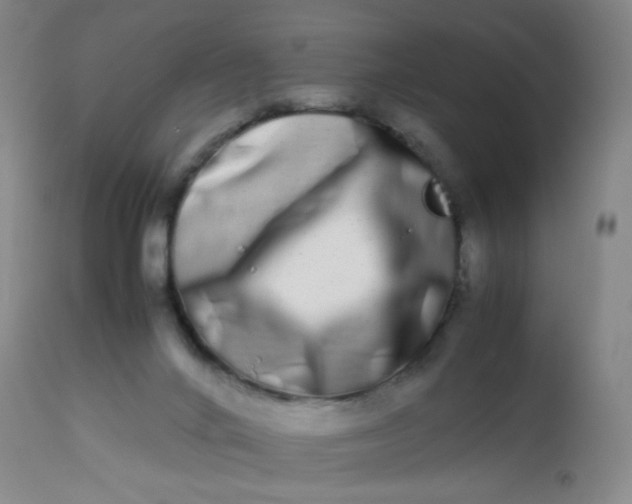 X0000113620024200910091542