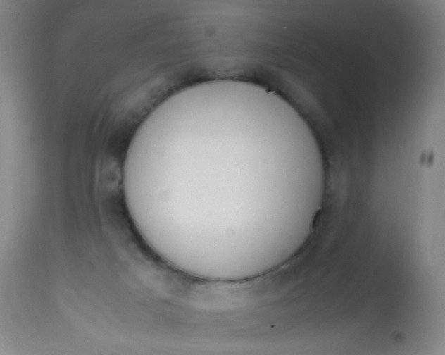 X0000113620025200910091542