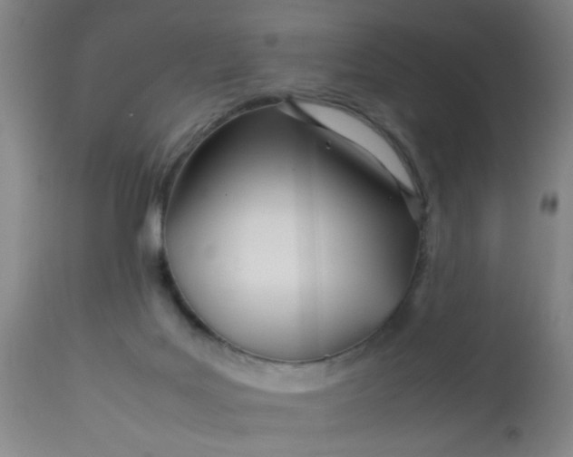X0000113620027200910091542