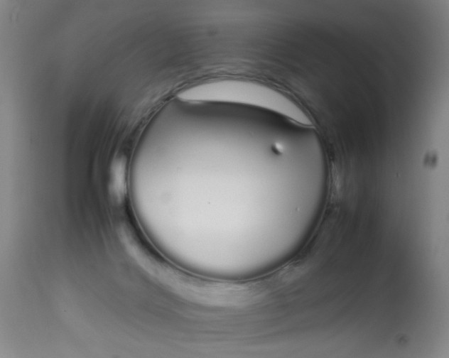 X0000113620028200910091542