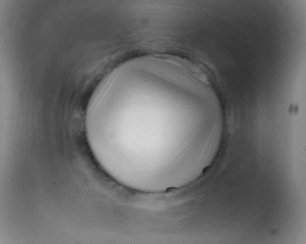 X0000113620029200910091542