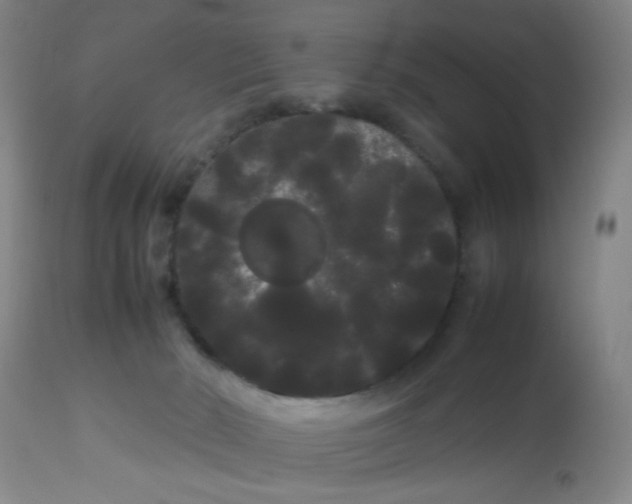 X0000113620030200910091542
