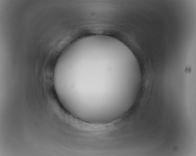 X0000113620031200910091542