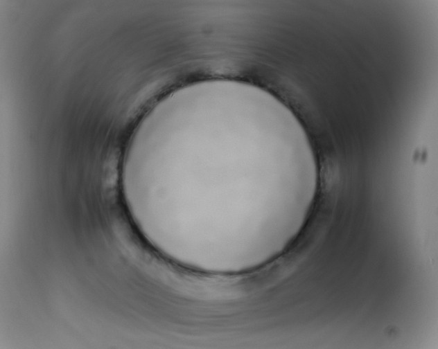 X0000113620032200910091542