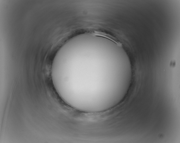 X0000113620033200910091542