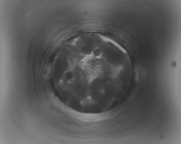 X0000113620034200910091542