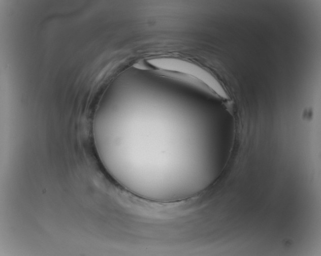 X0000113620035200910091542