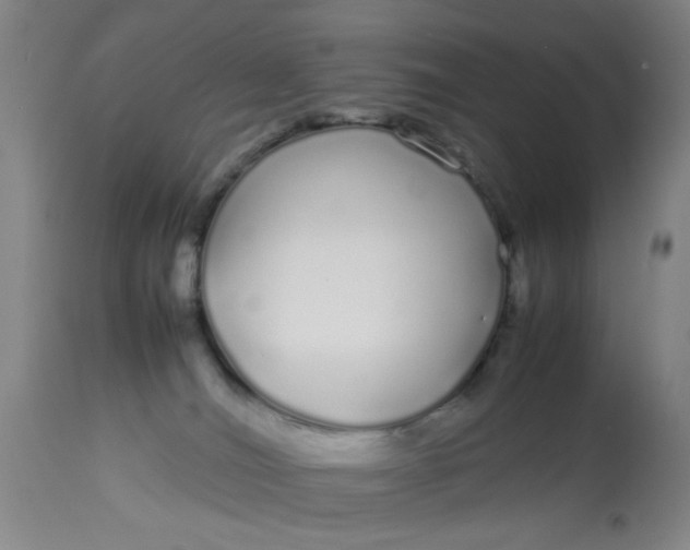 X0000113620036200910091542
