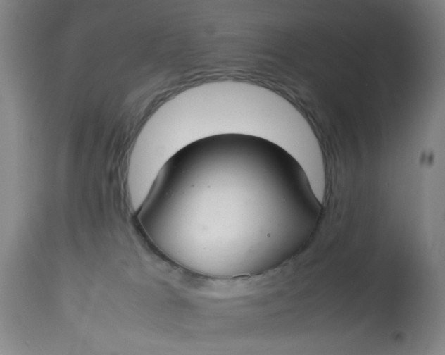 X0000113620037200910091542