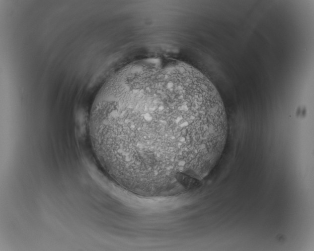 X0000113620038200910091542
