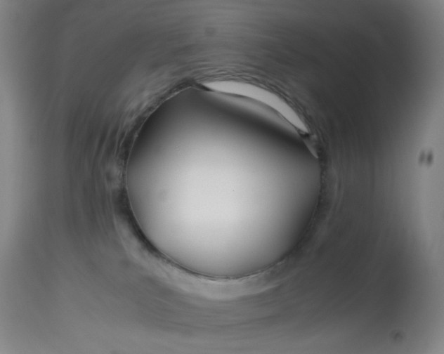 X0000113620039200910091542