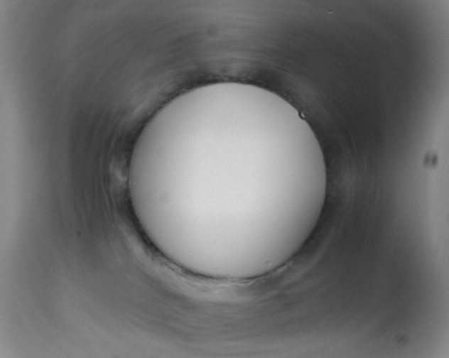 X0000113620040200910091542