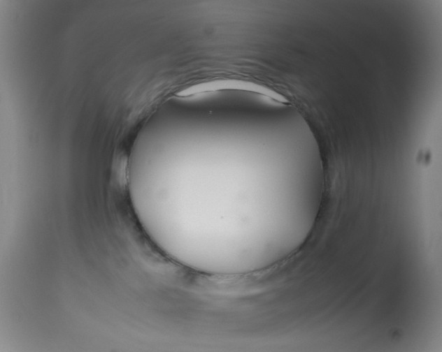 X0000113620041200910091542