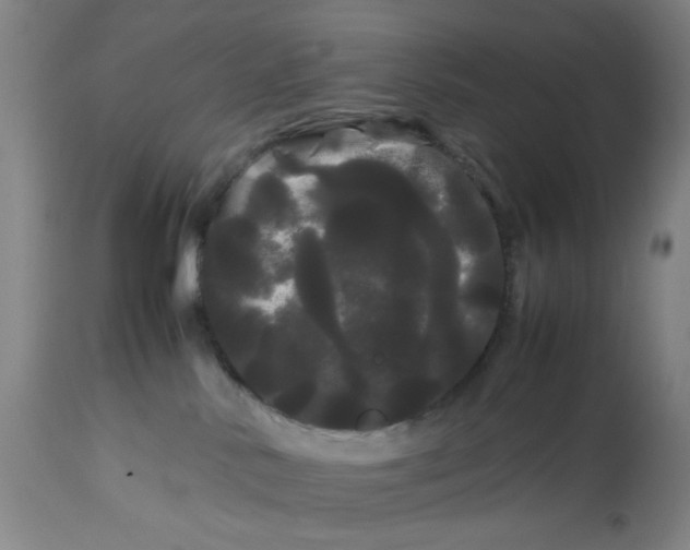 X0000113620042200910091542