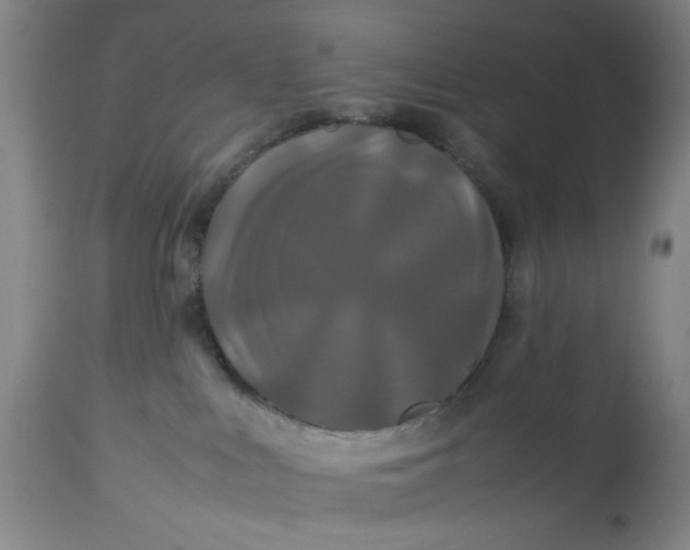 X0000113620043200910091542