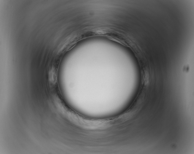 X0000113620044200910091542