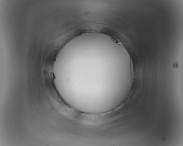 X0000113620045200910091542