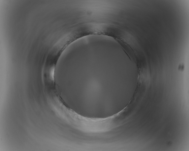 X0000113620047200910091542
