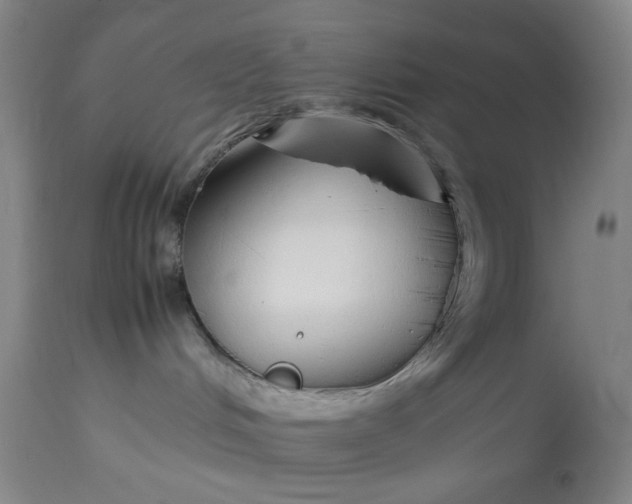 X0000113620048200910091542