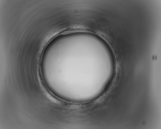 X0000113620049200910091541