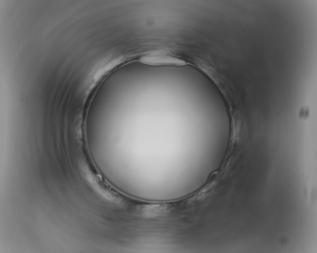 X0000113620050200910091541
