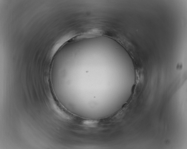 X0000113620051200910091541