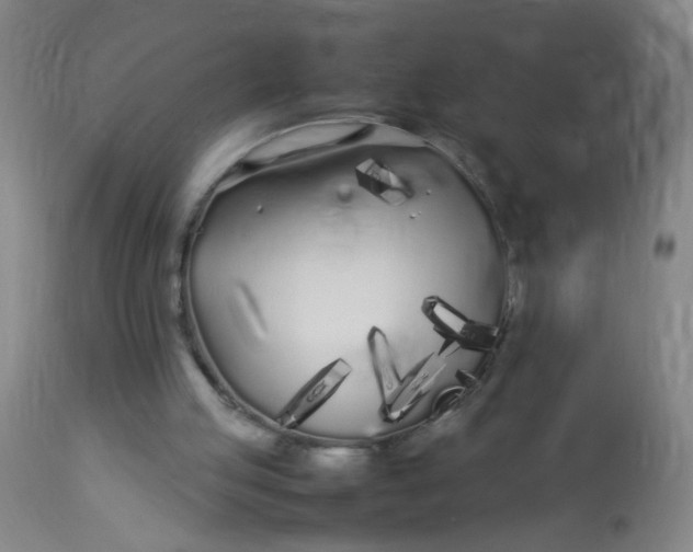 X0000113620053200910091541