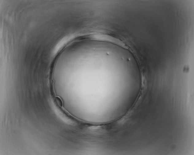 X0000113620054200910091541