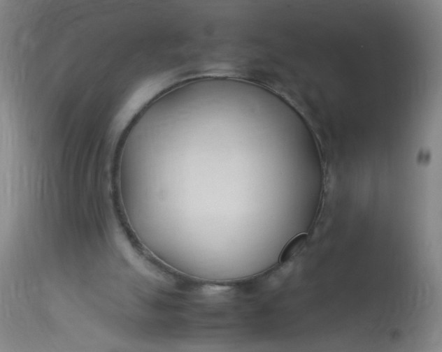 X0000113620055200910091541