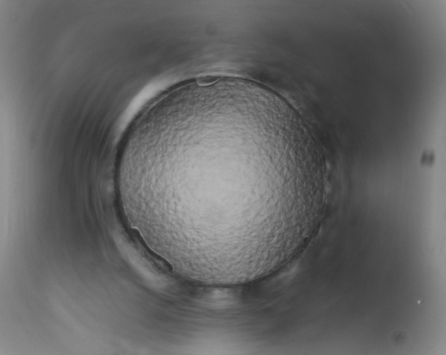 X0000113620056200910091541