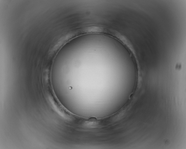 X0000113620057200910091541