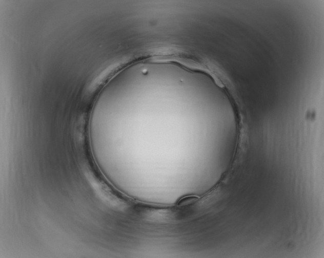X0000113620058200910091541