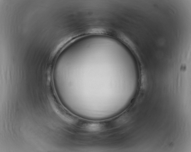 X0000113620059200910091541