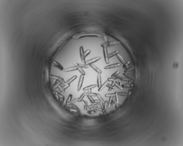 X0000113620061200910091541