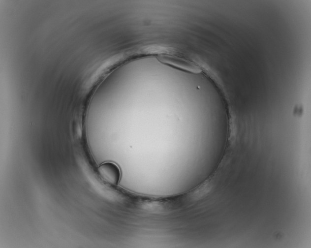 X0000113620062200910091541