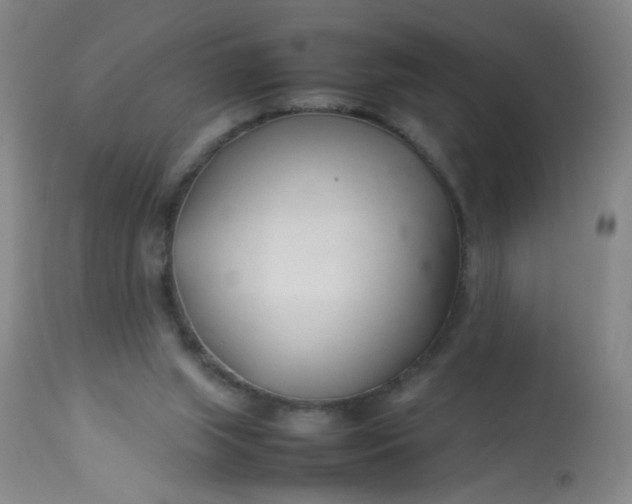 X0000113620063200910091541