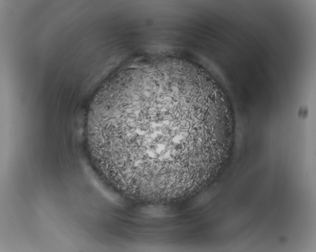 X0000113620065200910091541