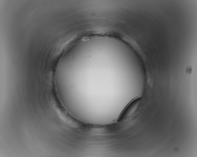 X0000113620066200910091541