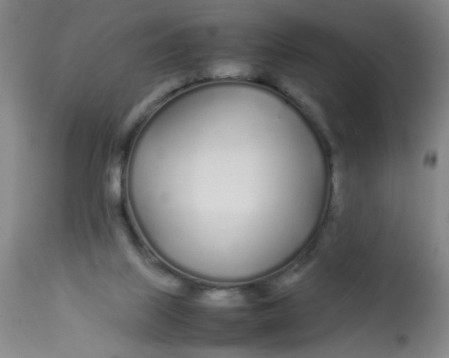 X0000113620067200910091541