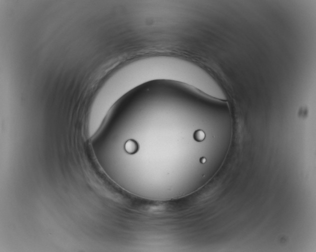 X0000113620068200910091541
