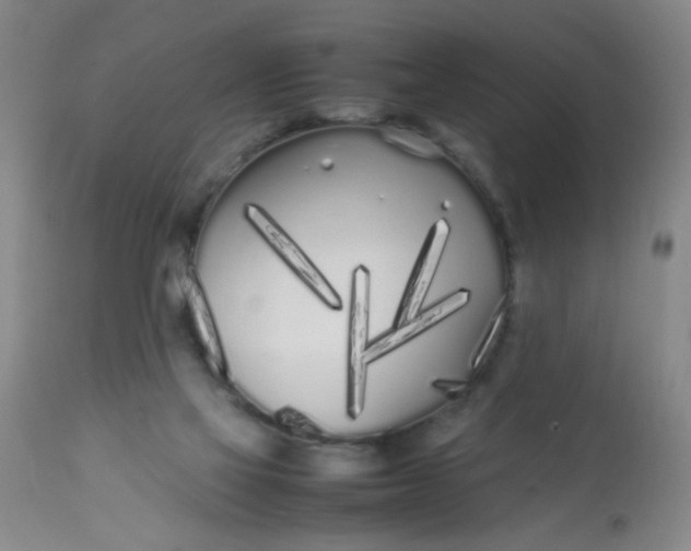 X0000113620069200910091541