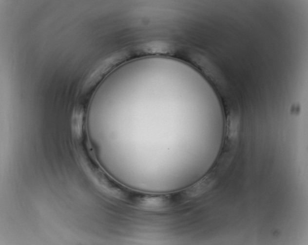 X0000113620070200910091541
