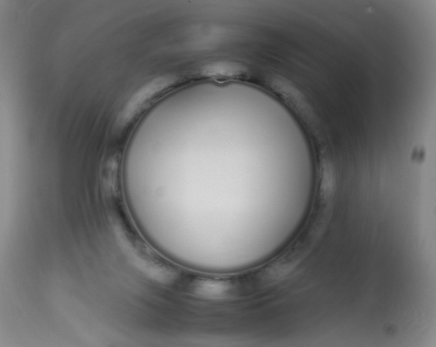 X0000113620071200910091541