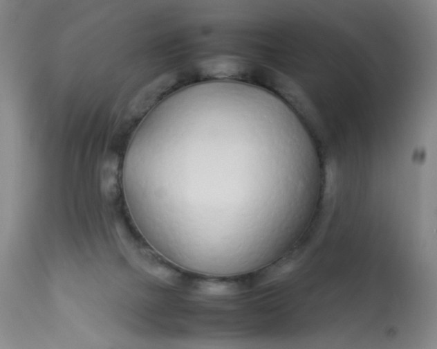 X0000113620073200910091541