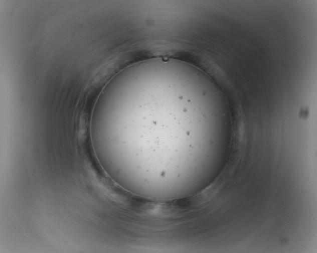 X0000113620074200910091541