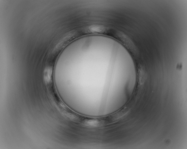 X0000113620075200910091541