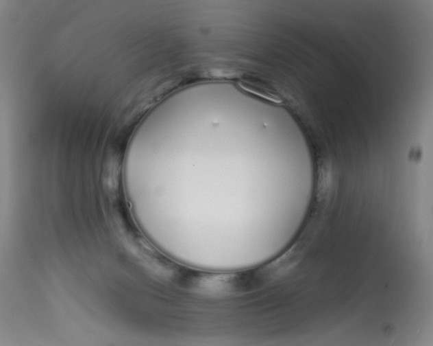 X0000113620078200910091541